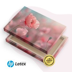 Obraz Na Płótnie Różowe Maki Na Łące Natura 120x80 Polna Przyroda - Miniaturka zdjęcia nr 8