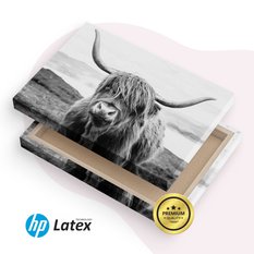 Obraz Do Salonu Krowa Szkocka Klify Czarno-Biały  40x30 Krajobraz Natura - Miniaturka zdjęcia nr 8