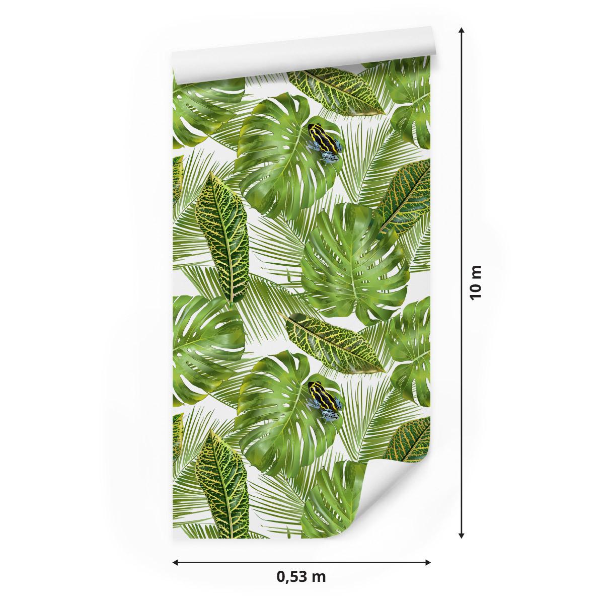 Tapeta piękne tropikalne liście, Monstera nr. 2