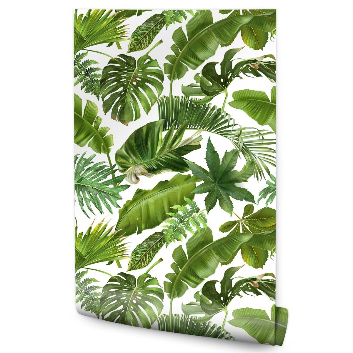 Tapeta LIŚCIE Tropikalne Bananowiec Palma Monstera 53x1000  nr. 1