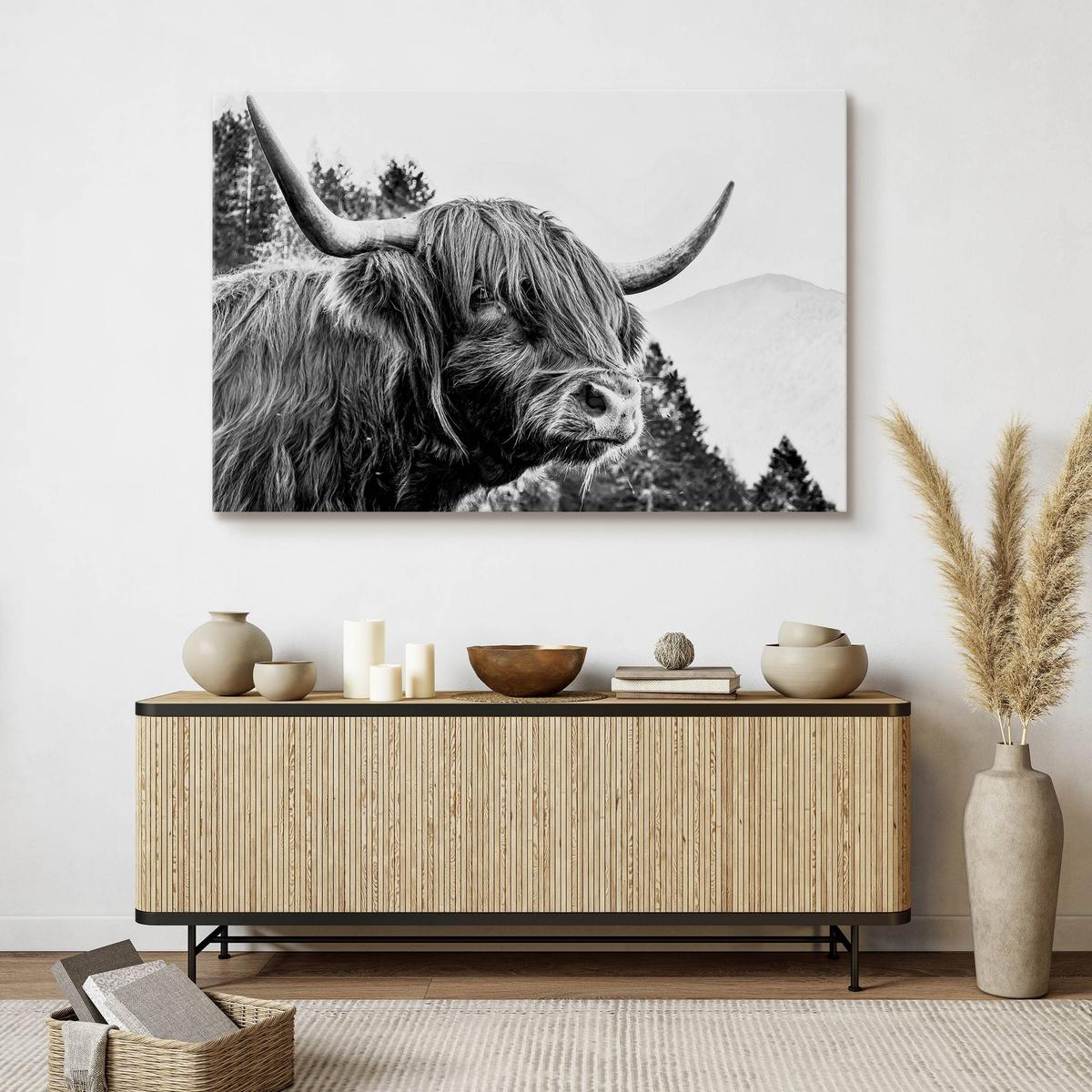 Obraz Do Salonu Krowa Szkocka Czarno-Biały 120x80 Pejzaż Góry Las Natura  nr. 7