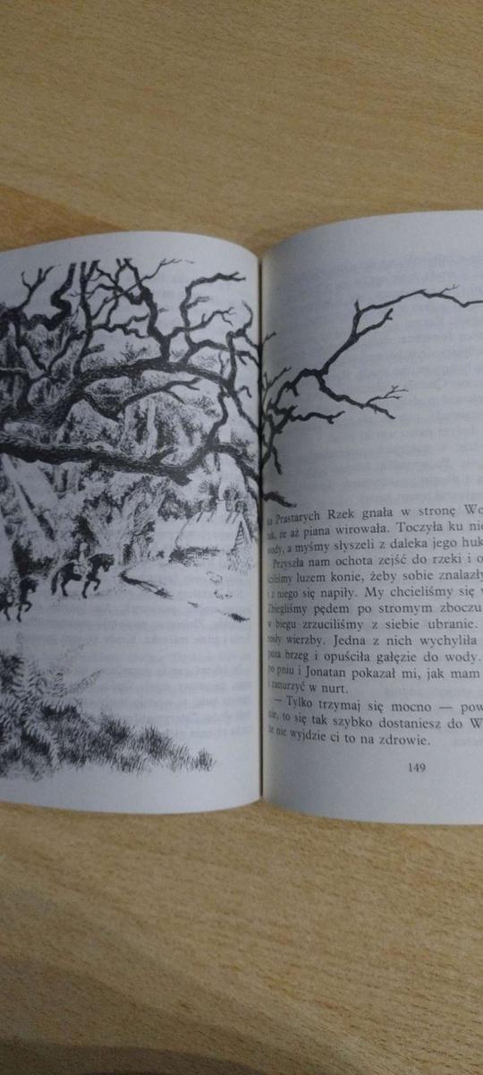 Książka   Bracia Lwie Serce - Astrid Lindgren . nr. 6