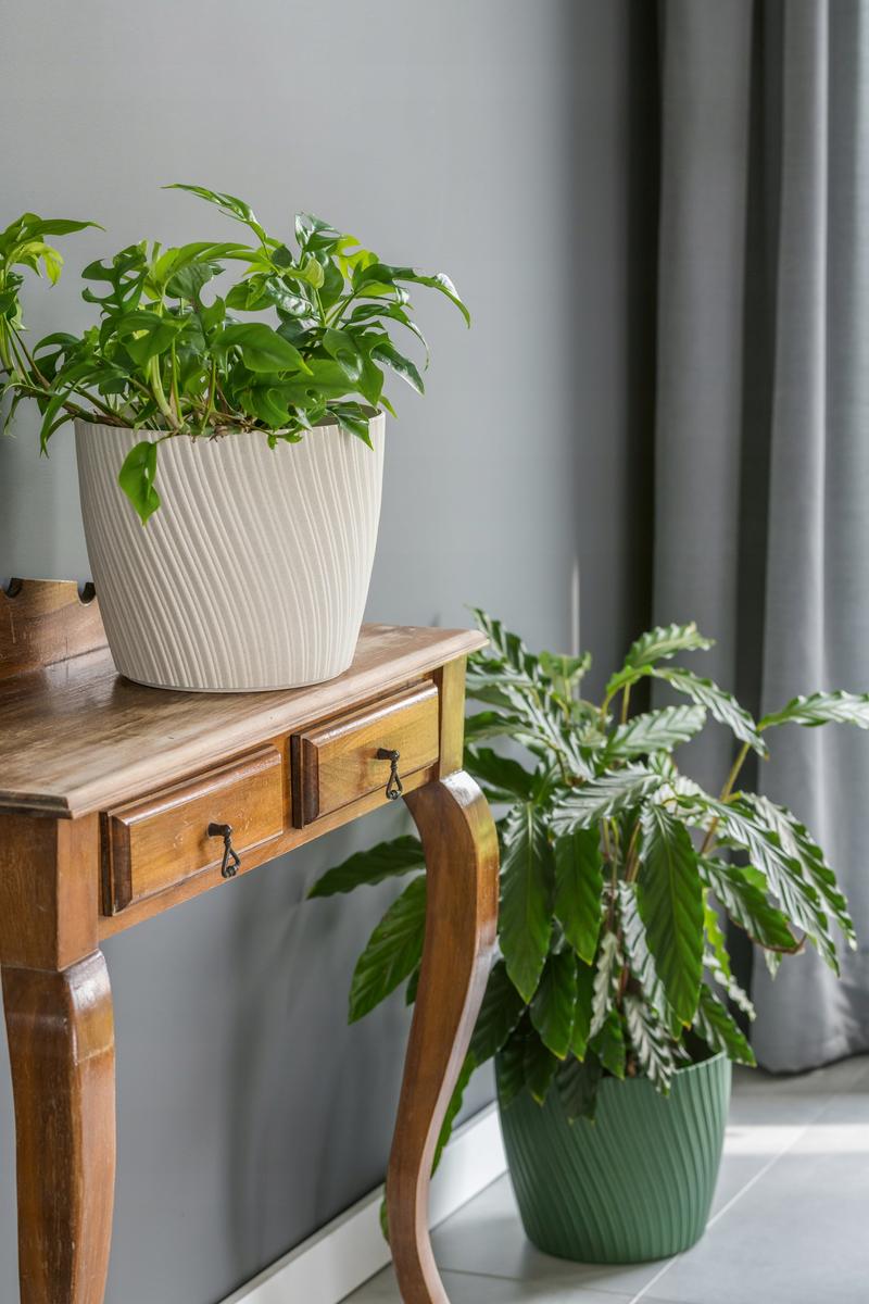 Doniczka okrągła Mika 23 + podstawka nr. 4