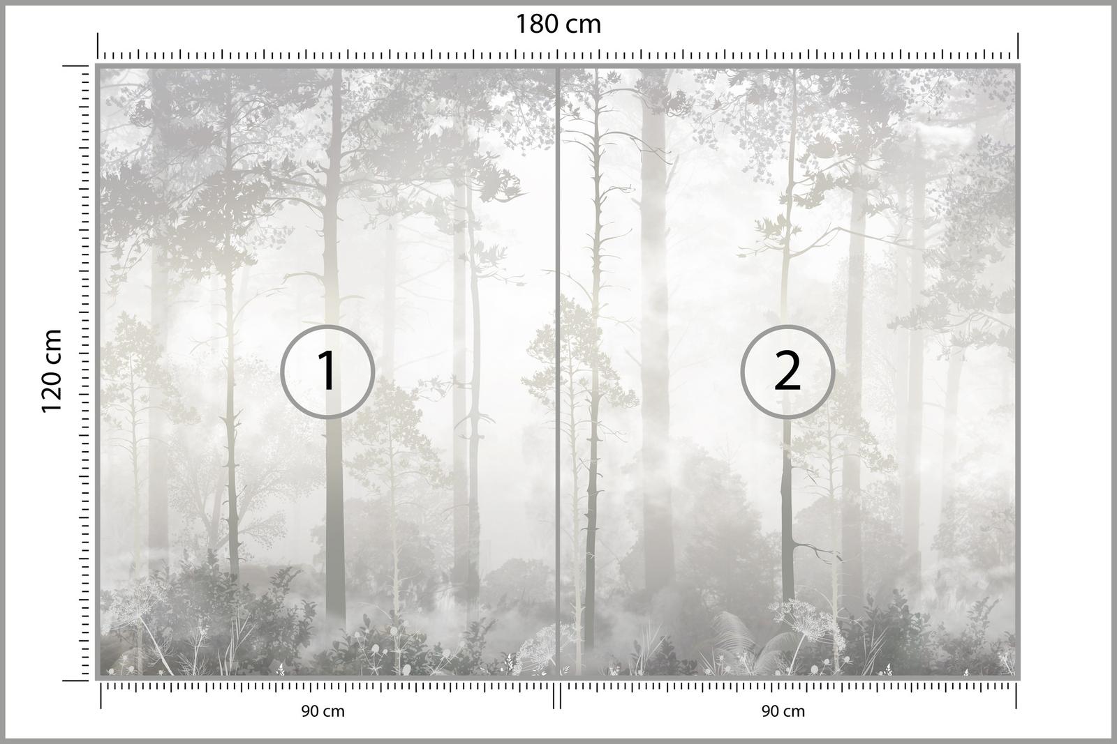 Fototapeta Do Sypialni Mglisty Las Pejzaż Natura Drzewa Abstrakcja nr. 2