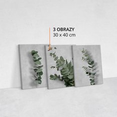 Obrazy Do Salonu Liście EUKALIPTUS Gałązki 90 cm x 40 cm - Miniaturka zdjęcia nr 8