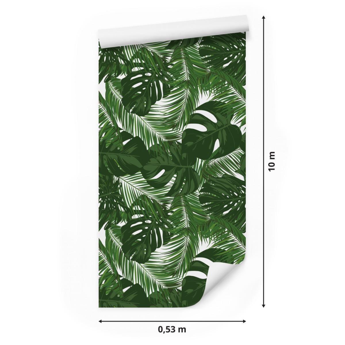 Tapeta Ścienna Egzotyczne LIŚCIE Monstera Rośliny nr. 3