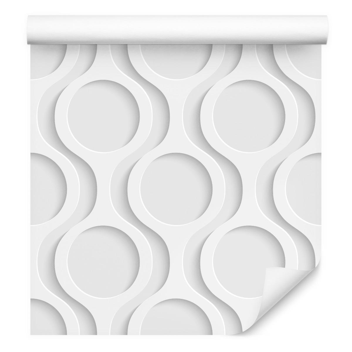 Tapeta Geometryczne KOŁA Kształty 3D do Biura  nr. 4