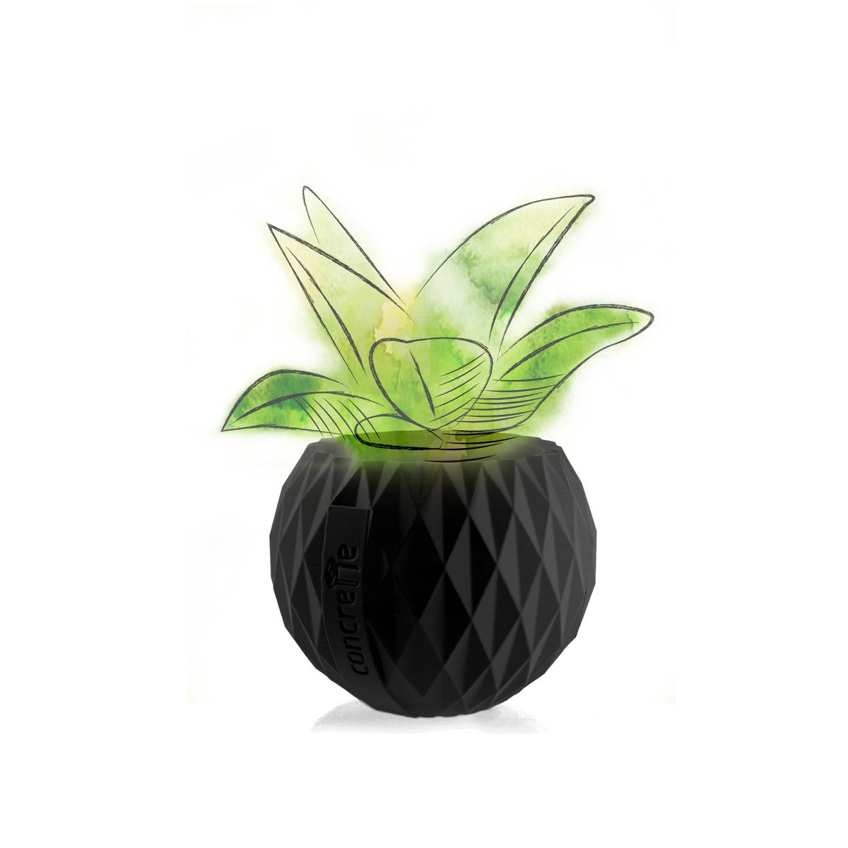 Donica Bauble Black Matt Poli 7,6 cm nr. 3