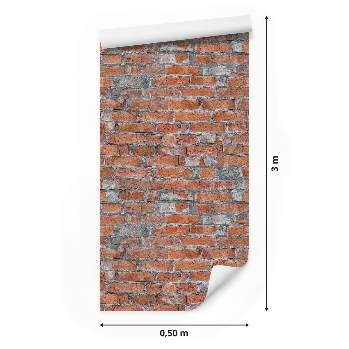 Tapeta Do Salonu Czerwona CEGŁA Mur Tekstura 3D  nr. 2