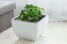 Dwukolorowa doniczka Muna 40 Okrągła donica śr40cm - Miniaturka zdjęcia nr 6