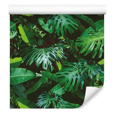 Tapeta Ścienna Zielone LIŚCIE Tropikalne Monstera 53x1000  - Miniaturka zdjęcia nr 5