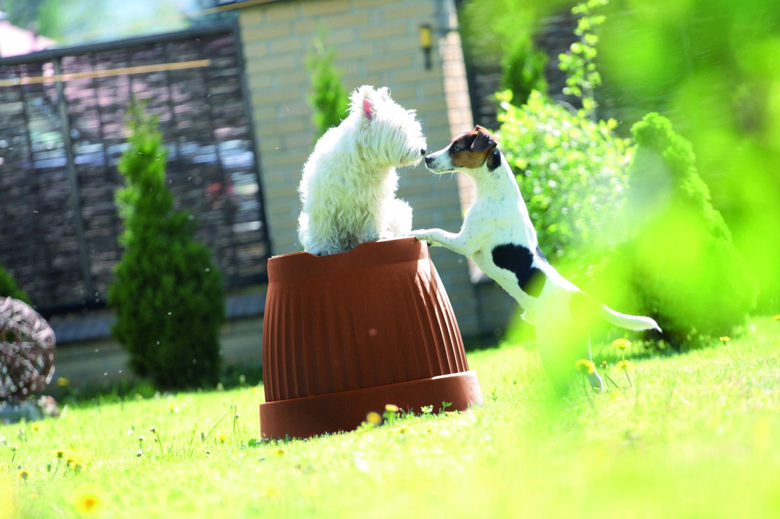 Doniczka Terra DCE25 Donica 5l + podstawka nr. 5