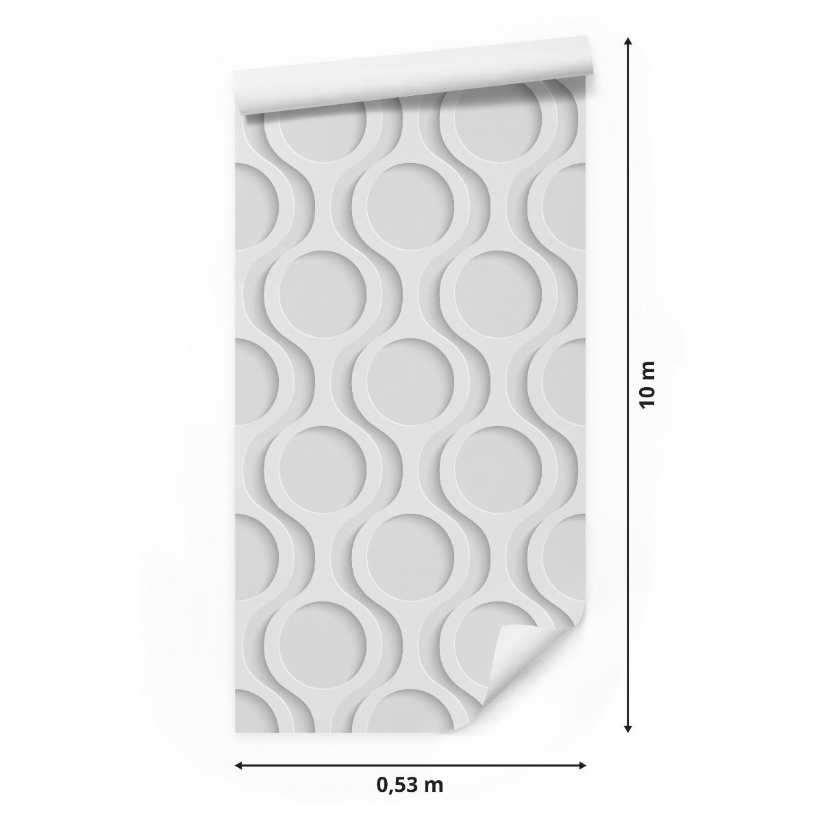 Tapeta Geometryczne KOŁA Kształty 3D do Biura  nr. 2