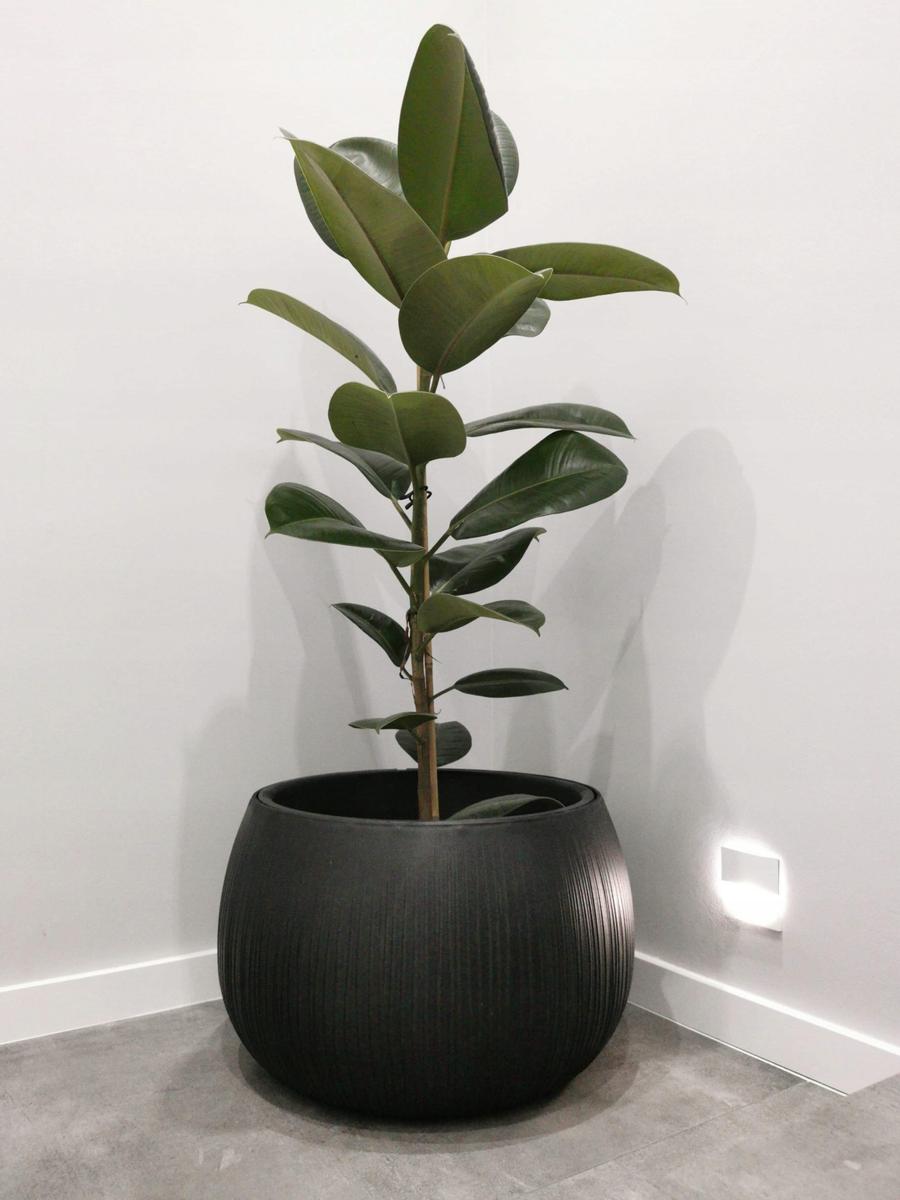 Donica kula Beton Bowl DKB180 + wkład śr.18cm nr. 3