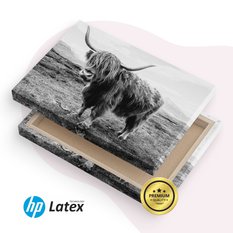 Obraz Do Salonu Krowa Szkocka Krajobraz  40x30 Klify Czarno-Biały Canvas - Miniaturka zdjęcia nr 8
