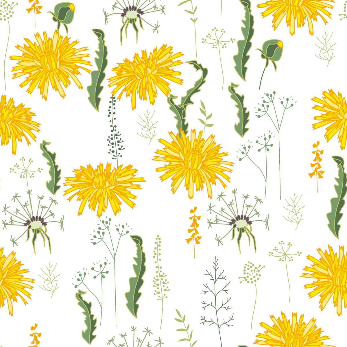 Tapeta W Rolce KWIATY Mlecze Natura Ozdoba Liście  nr. 7