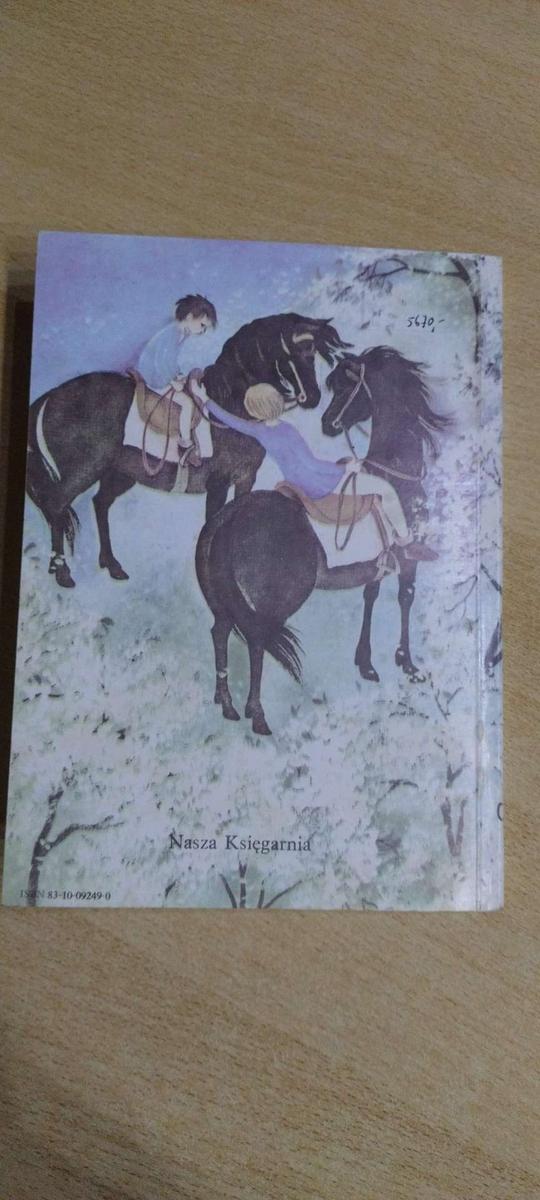 Książka   Bracia Lwie Serce - Astrid Lindgren . nr. 8