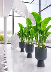 Doniczka okrągła Keli Mika Petit Eco Wood 18 na nóżce - Miniaturka zdjęcia nr 3