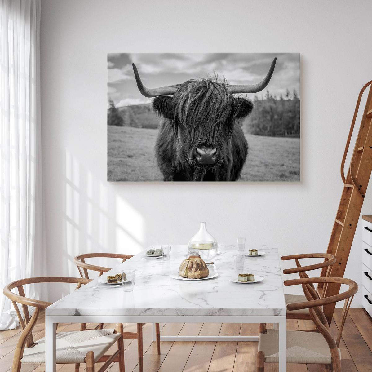 Obraz Do Sypialni Krowa Szkocka Na  90x60 Tle Traw Czarno-Biały Pejzaż nr. 4