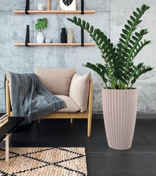 Doniczka okrągła Mika Slim 30cm Donica + wkład dystansowy - Miniaturka zdjęcia nr 7