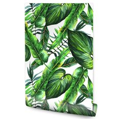 Tapeta Do Salonu LIŚCIE Tropikalne Natura Malunek  - Miniaturka zdjęcia nr 1