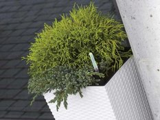 Doniczka z wkładem kwadratowa 20x20cm RATTAN Biała - Miniaturka zdjęcia nr 6