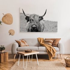 Obraz Na Płótnie Krowa Szkocka Czarno-Biały  100x70 Krajobraz Natura Polana - Miniaturka zdjęcia nr 3