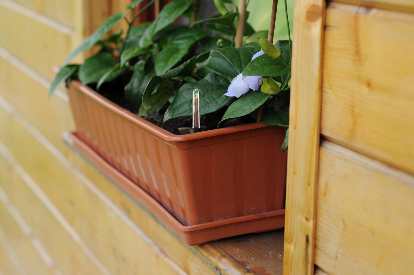 Skrzynka balkonowa z nawadnianiem IS6CAN Doniczka podłużna nr. 2