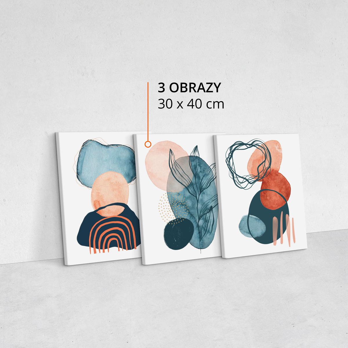 Obrazy Do Salonu Set Akwarele Abstrakcyjne Kształty Liście Boho 90x40cm nr. 10