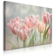 Obraz Na Płótnie Delikatne Różowe Kwiaty Tulipany 70x50 Dekoracja do Salonu - Miniaturka zdjęcia nr 1