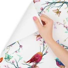 Tapeta – Kolorowe ptaki na kolorowym tle  - Miniaturka zdjęcia nr 5