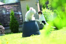 Doniczka Terra DCE25 Donica 5l + podstawka - Miniaturka zdjęcia nr 6