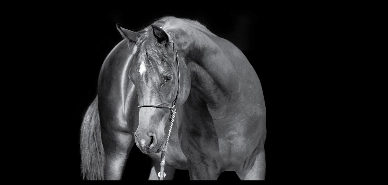 Lampa stołowa mała - Horse nr. 2