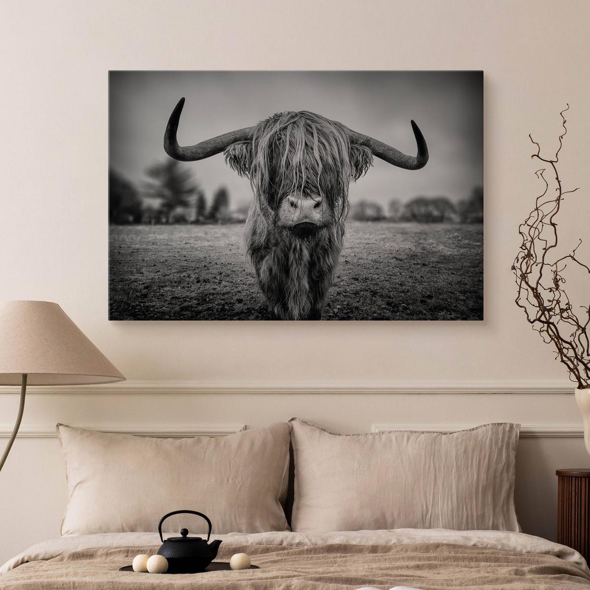 Obraz Do Sypialni Dzika Krowa Szkocka  40x30 Natura Czarno-Biały Pejzaż nr. 7