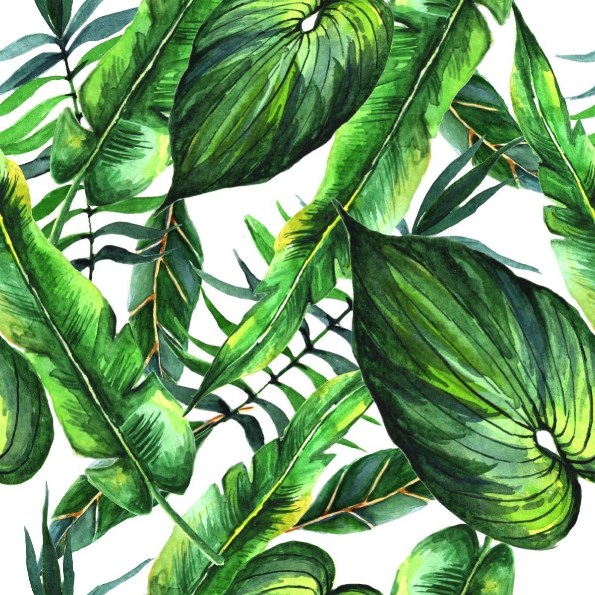Tapeta Do Salonu LIŚCIE Tropikalne Natura Malunek  nr. 6