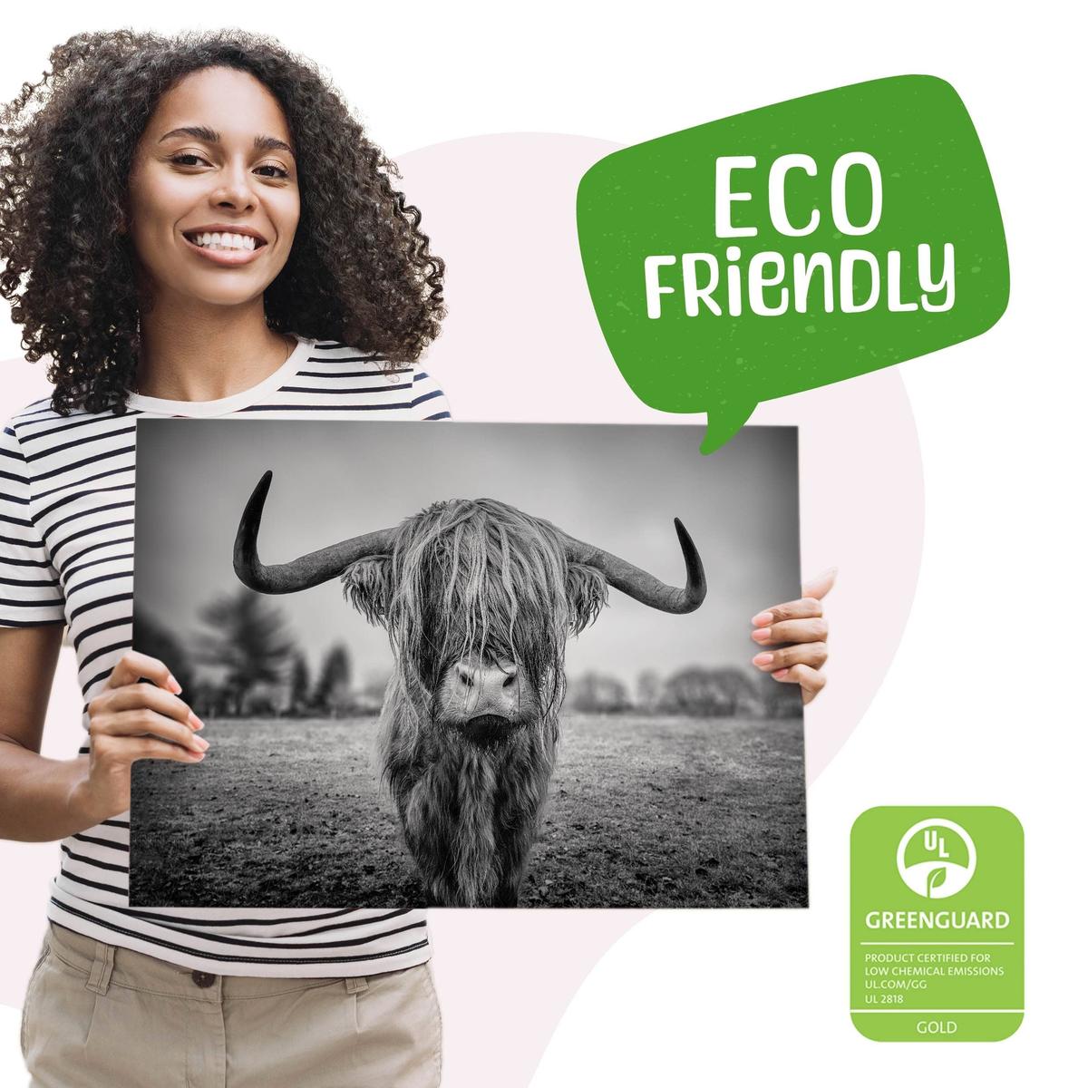 Obraz Do Sypialni Dzika Krowa Szkocka  40x30 Natura Czarno-Biały Pejzaż nr. 9