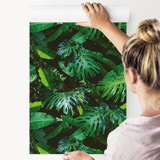 Tapeta Ścienna Zielone LIŚCIE Tropikalne Monstera 53x1000  - Miniaturka zdjęcia nr 8