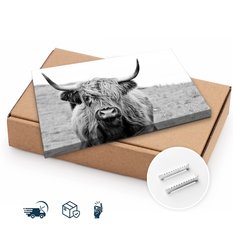Obraz Na Płótnie Krowa Szkocka Czarno-Biały  100x70 Krajobraz Natura Polana - Miniaturka zdjęcia nr 10