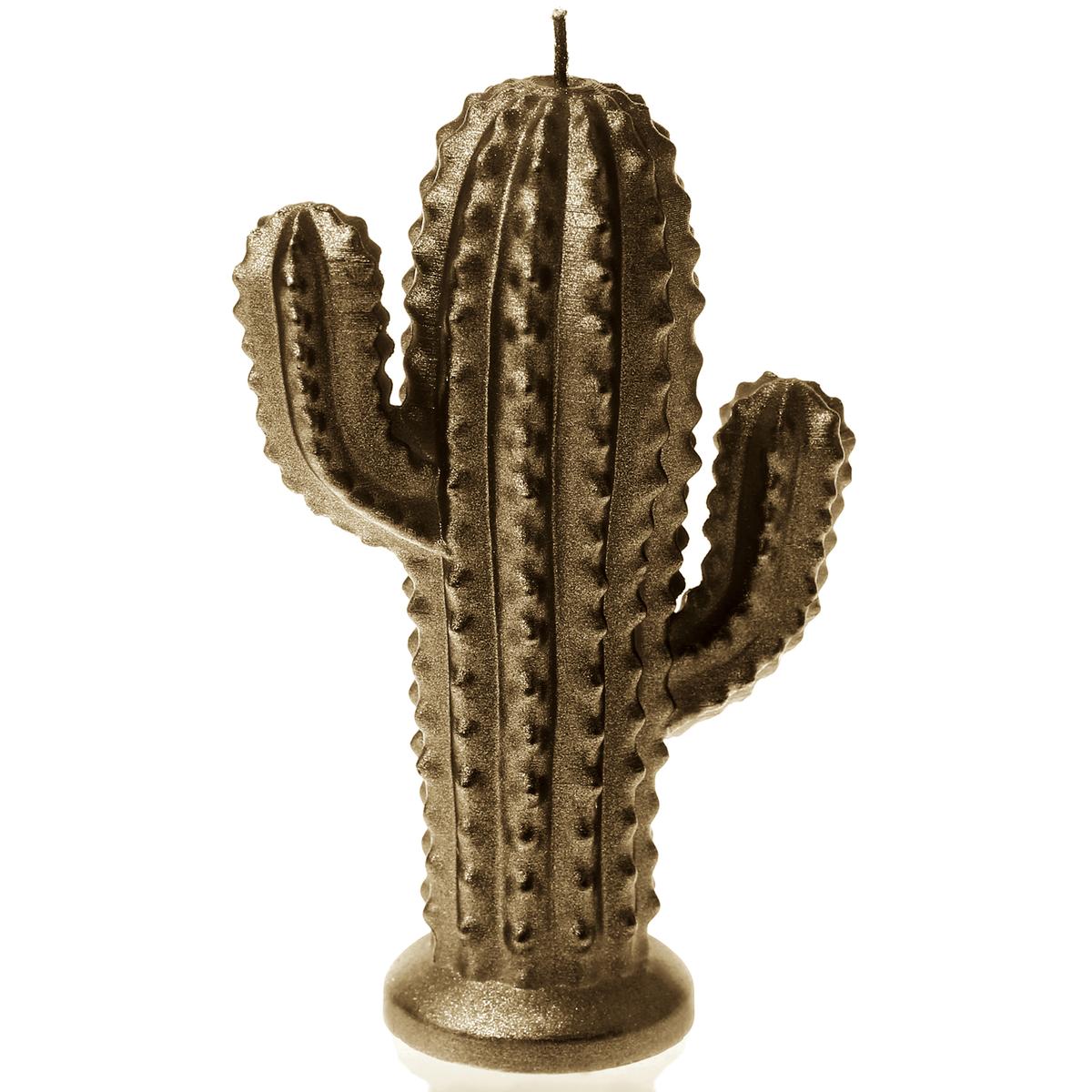 Świeca Cactus Brass Big