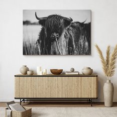 Obraz Do Sypialni Krowa Szkocka Czarno-Biały  90x60 Pejzaż Polana Natura - Miniaturka zdjęcia nr 7