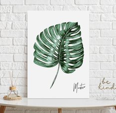 Plakat monstera liść 50x70 cm dekoracja ścienna bez ram  - Miniaturka zdjęcia nr 2