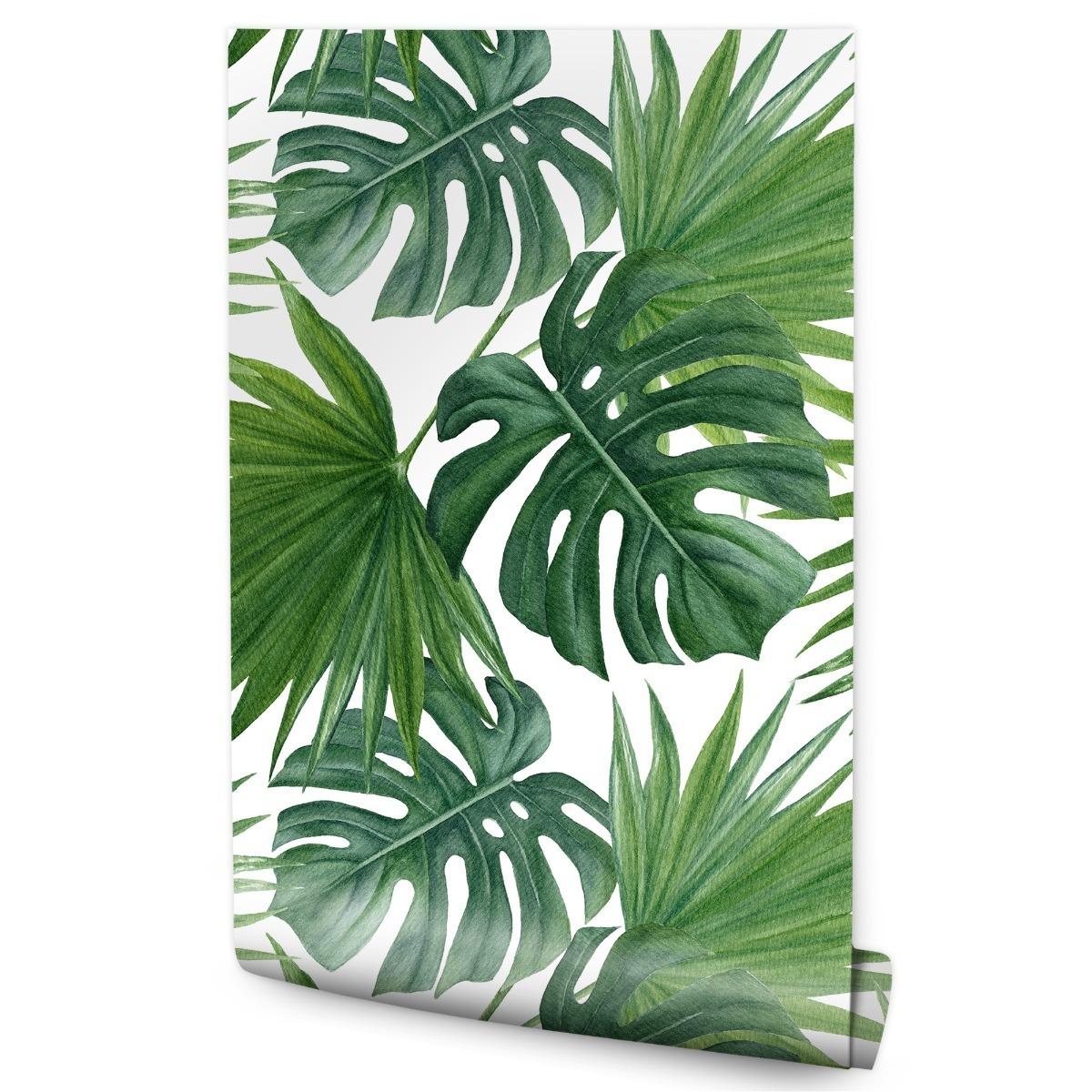 Tapeta Do Jadalni MONSTERA Palma Liście Tropikalne 53x1000  nr. 1