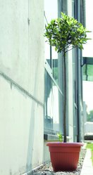 Doniczka klasyczna Terra DCE40 z podstawką Donica - Miniaturka zdjęcia nr 4