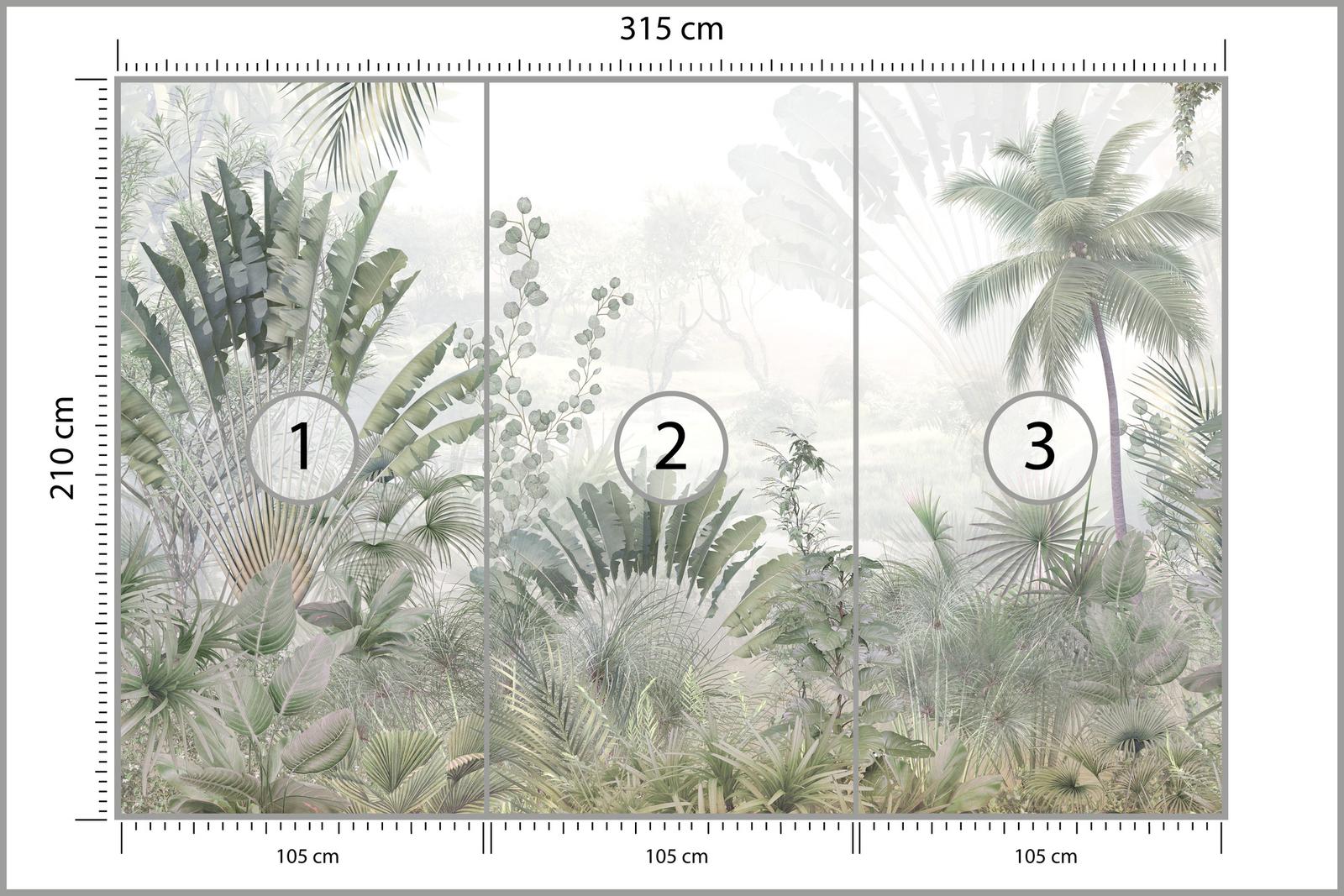 Fototapeta Do Jadalni LAS Tropikalny Dżungla Natura Pejzaż Drzewa Dekoracja Nowoczesna nr. 3