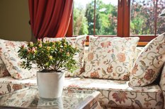 Donica okrągła MAGNOLIA 250 w połysku 8l - Miniaturka zdjęcia nr 8