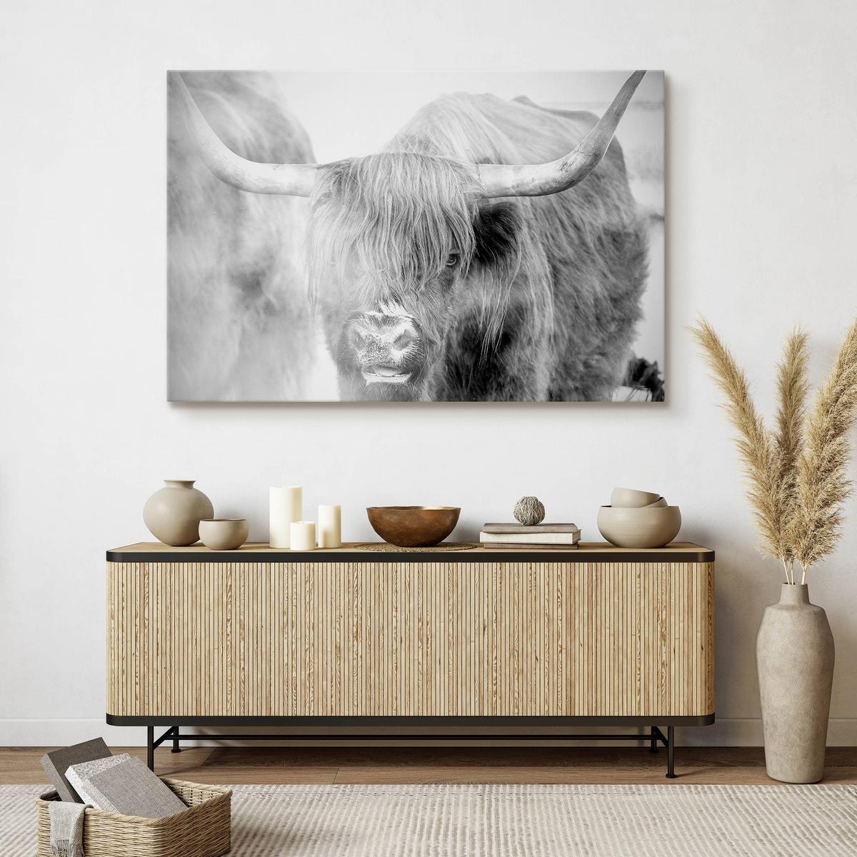 Obraz Na Płótnie Krowa Szkocka Natura  120x80 Krajobraz We Mgle Zwierzęta nr. 3
