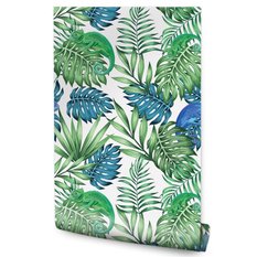 Tapeta W Rolce Kolorowe LIŚCIE Monstera Kameleon 53x1000  - Miniaturka zdjęcia nr 1