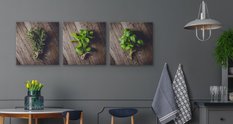 Obrazy Do Kuchni SET Świeże ZIOŁA Bazylia Rozmaryn Mięta Rośliny 180x60cm - Miniaturka zdjęcia nr 5