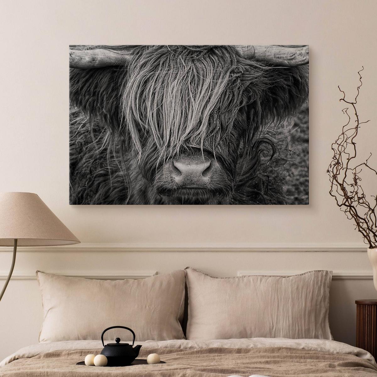 Obraz Na Płótnie Krowa Szkocka Zwierzęta  100x70 Natura Do Salonu Sypialni nr. 5