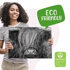 Obraz Na Płótnie Krowa Szkocka Zwierzęta  100x70 Natura Do Salonu Sypialni - Miniaturka zdjęcia nr 9
